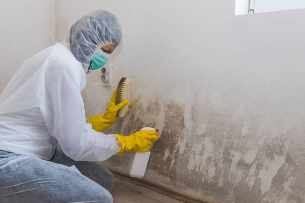 Best Crawl Space Mold Removal  in Dresser, WI