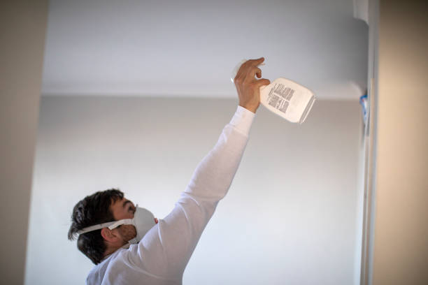 Best Water Damage Restoration  in Dresser, WI