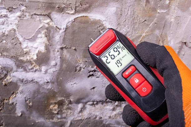 Best Crawl Space Mold Removal  in Dresser, WI