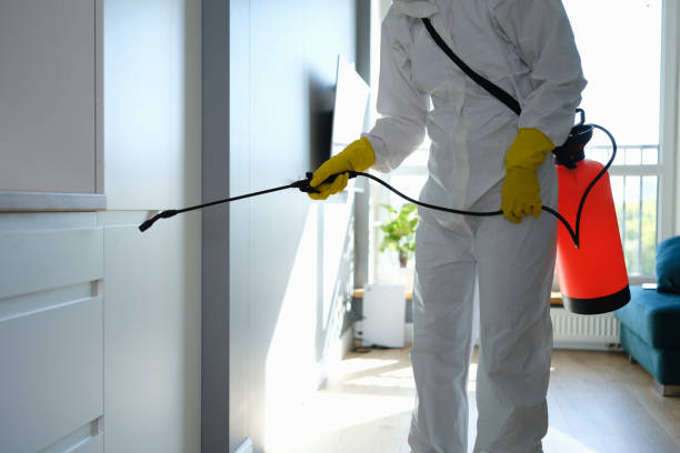 Best Mold Testing  in Dresser, WI