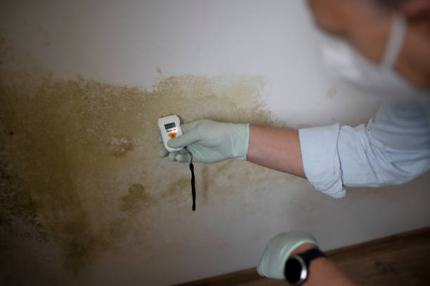 Best Office Mold Removal Services  in Dresser, WI