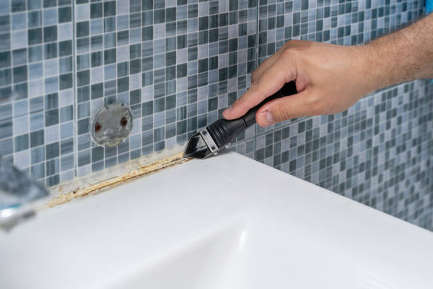 Mold Testing and Removal in Dresser, WI